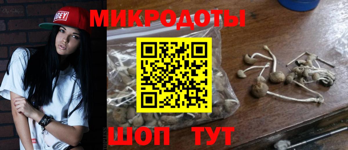 Псилоцибиновые грибы GOLDEN TEACHER  Вход с VPN  Артём  Псилоцибиновые грибы Psilocybe 